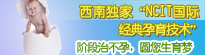 NCIT国际经典技术