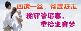 四镜一丝