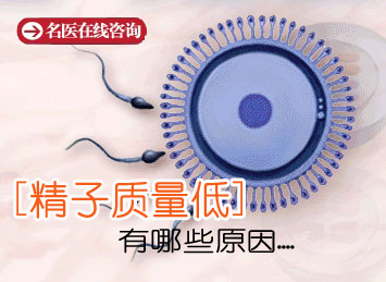 提高精子质量的办法有哪些